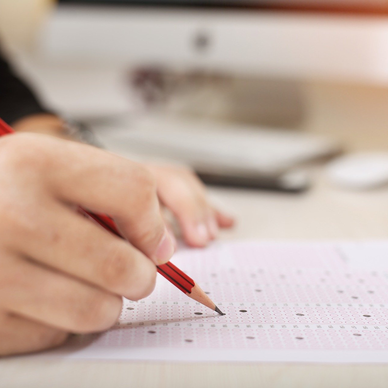 Abschlussprüfung DIPO-Hundeosteopathie