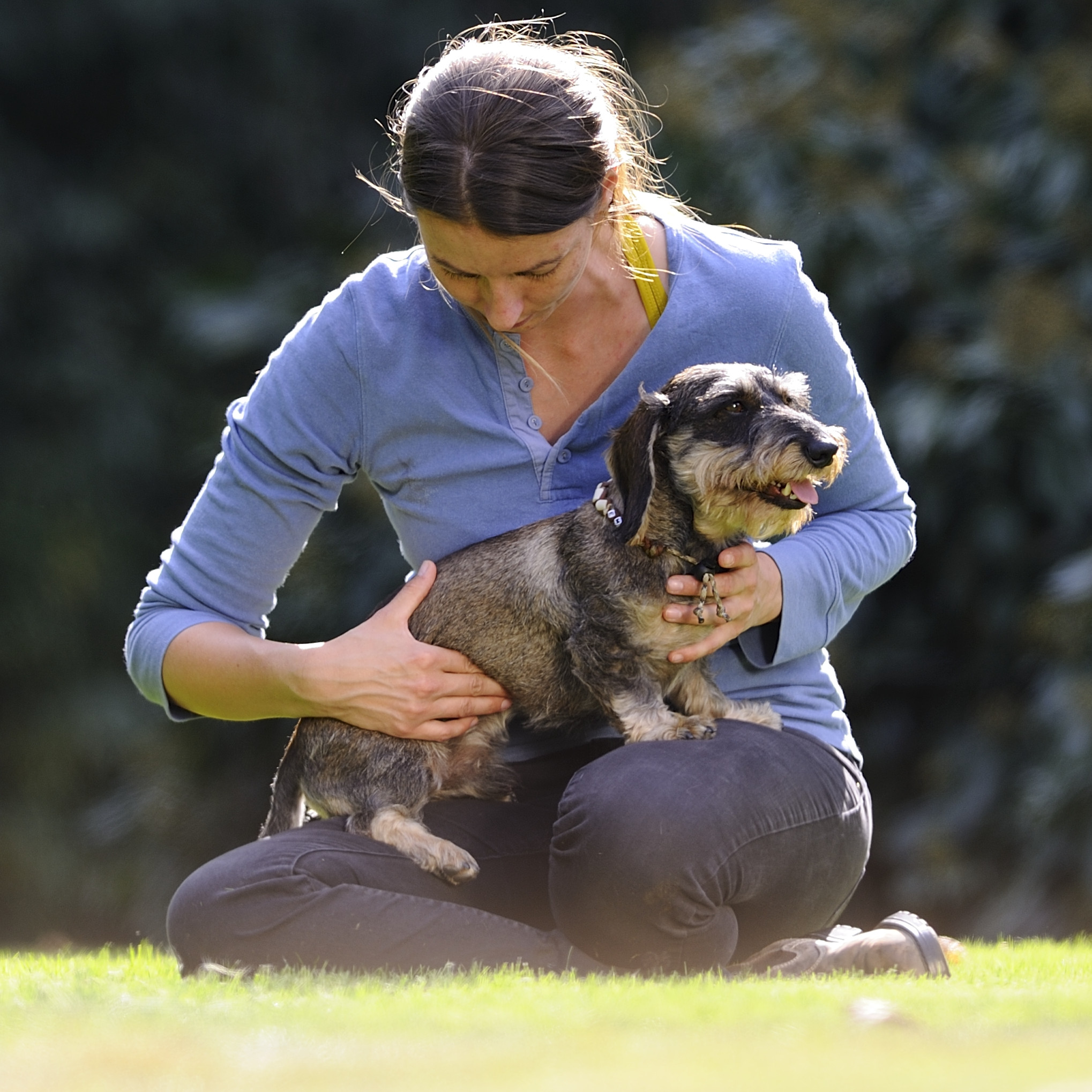 Manuelle Therapie für Hunde | Modul 1