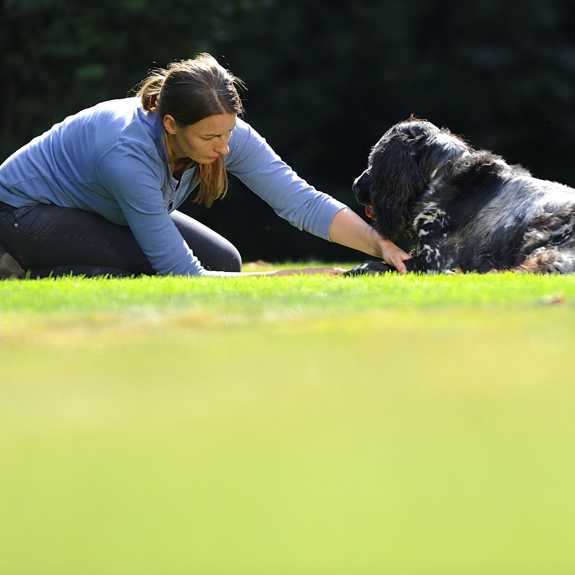 Manuelle Therapie für Hunde | Modul 4