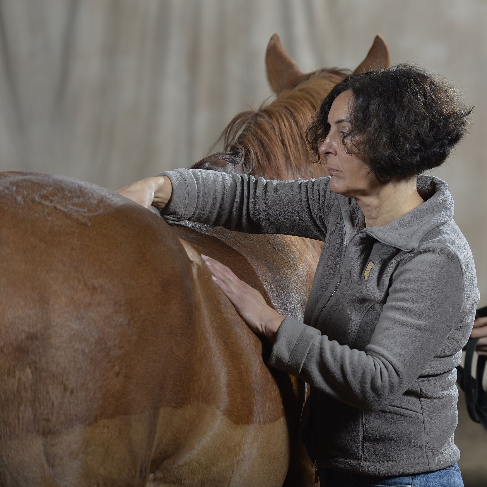 Osteopathie und Chiropraktik