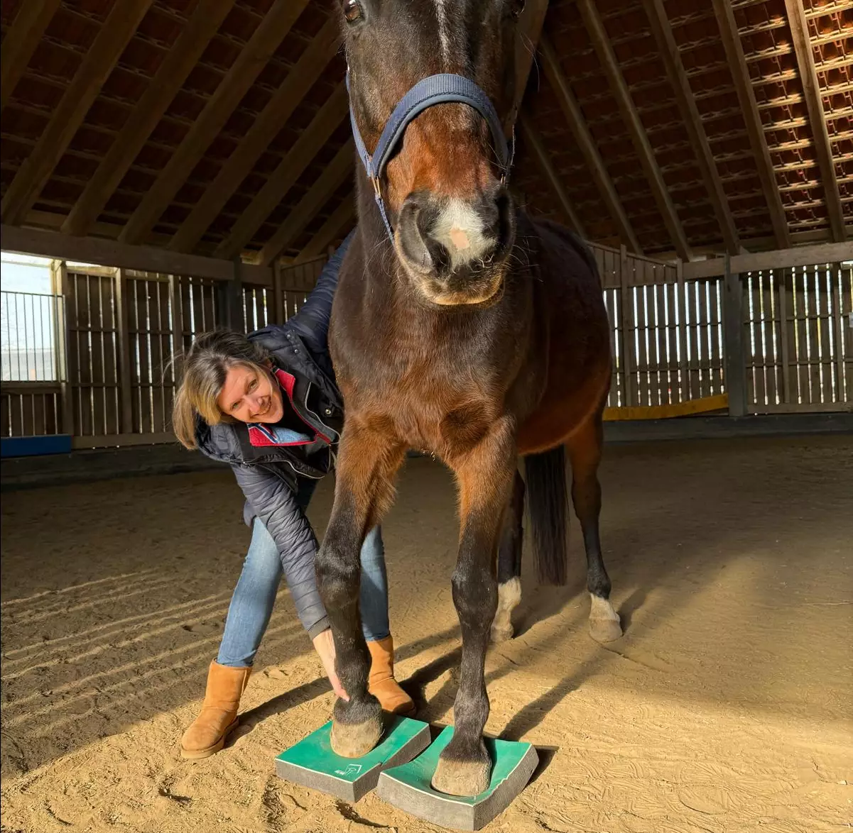 Therapiekonzepte, Rehabilitation und Trainingsplanung