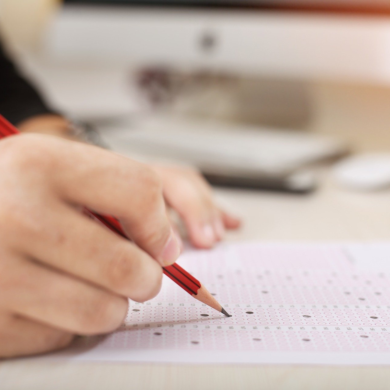 Abschlussprüfung DIPO-Hundephysiotherapie