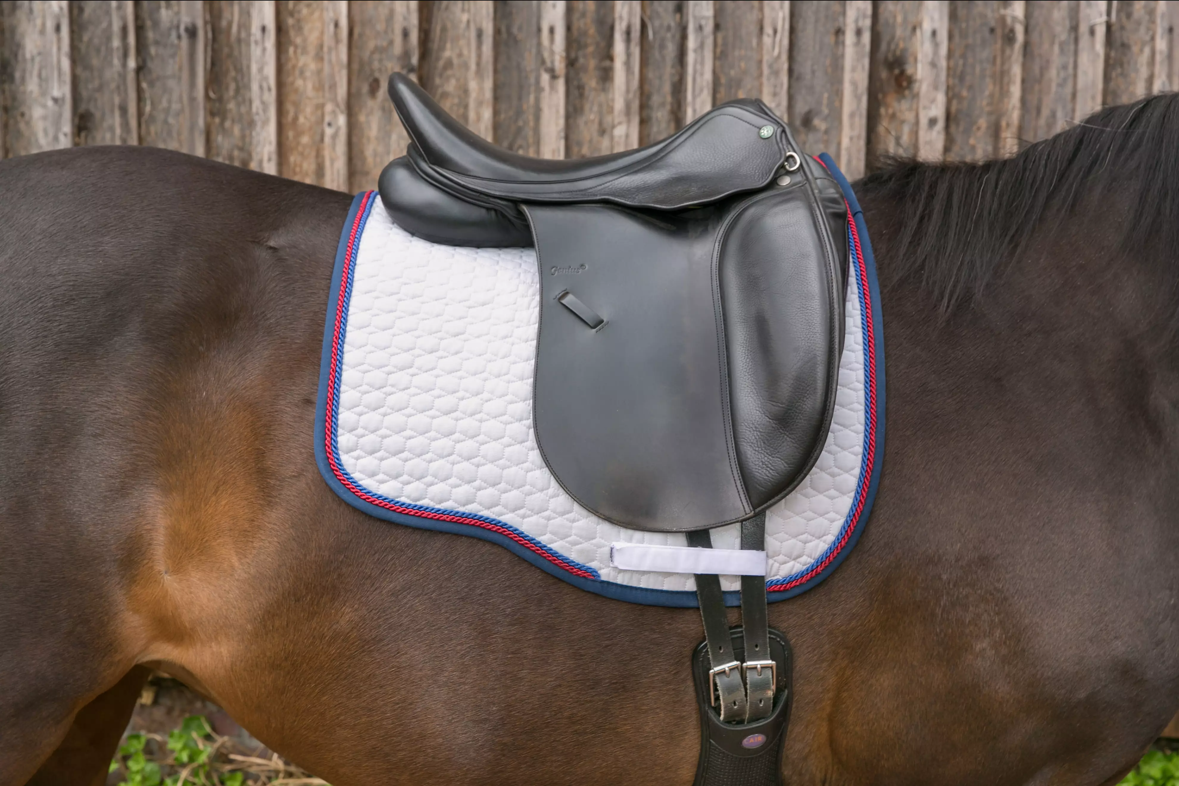 DIPO-ZeSa Kurs 12 (Zertifizierte/r SattelexpertIn) | Weiterbildung bestehend aus zwei Blöcken und einer Prüfung