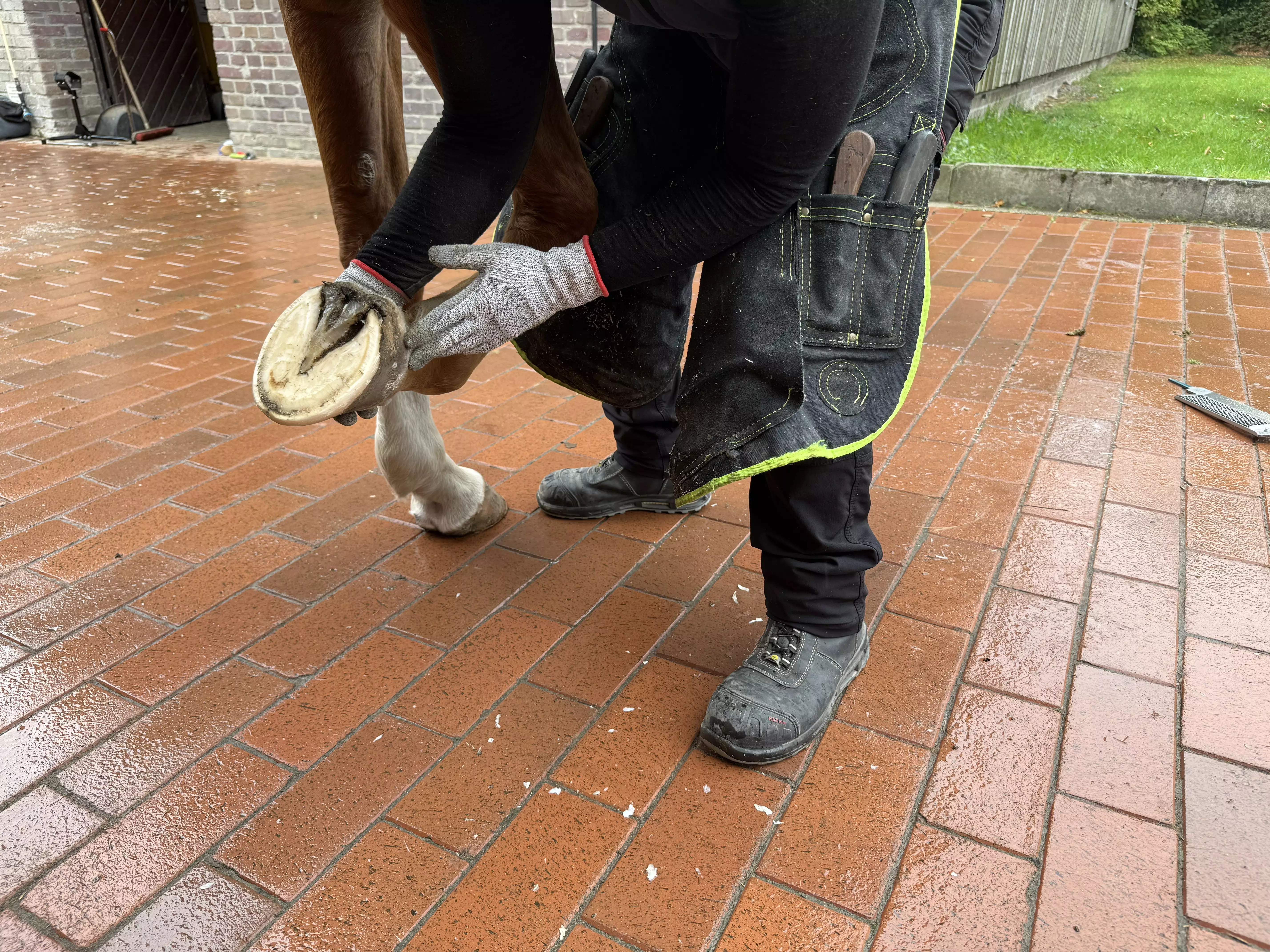 Eine Tierärztin arbeitet an einem Pferdehof