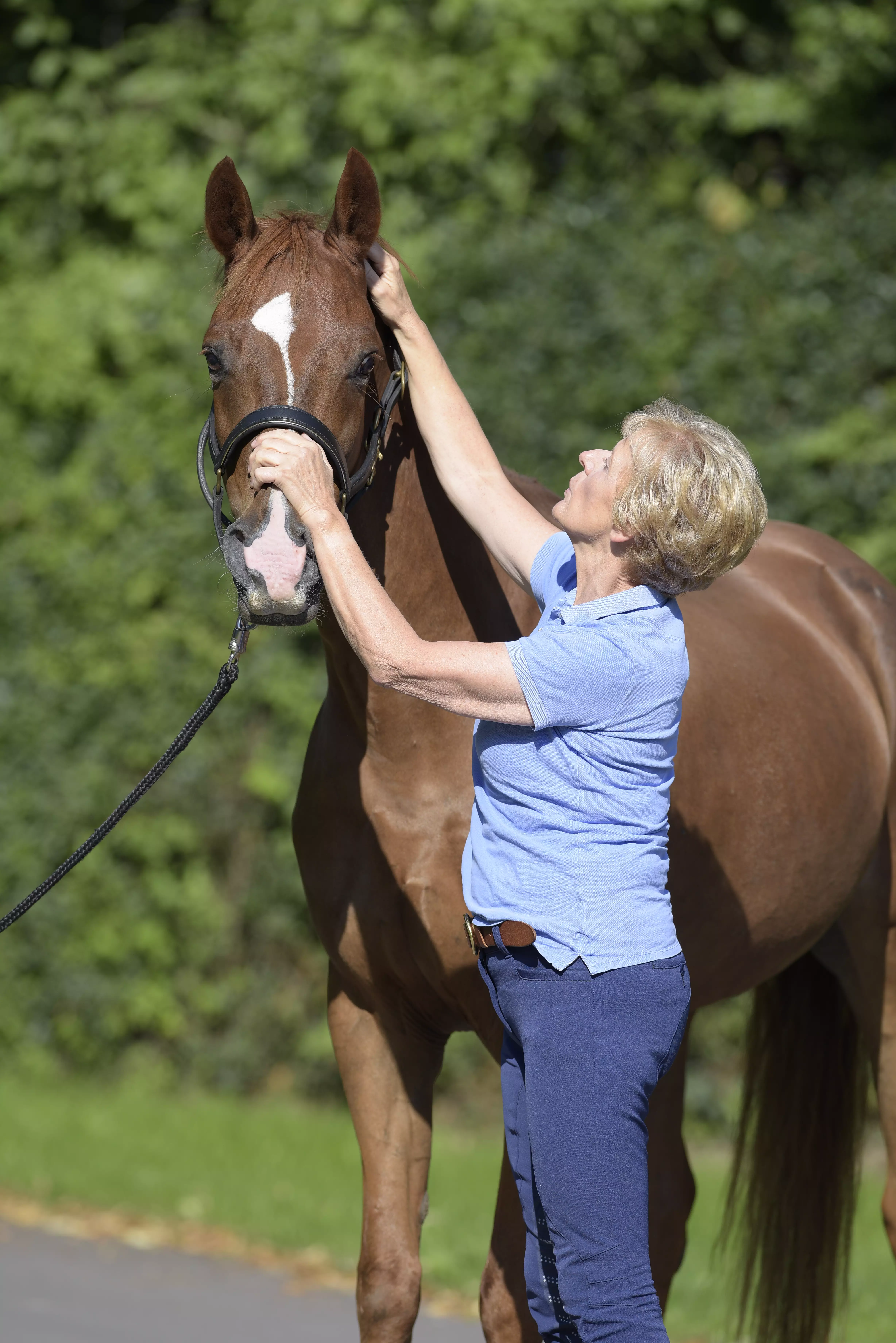 Eine Pferdetherapeutin behandelt an Kopf und Halswirbelsäule des Pferdes