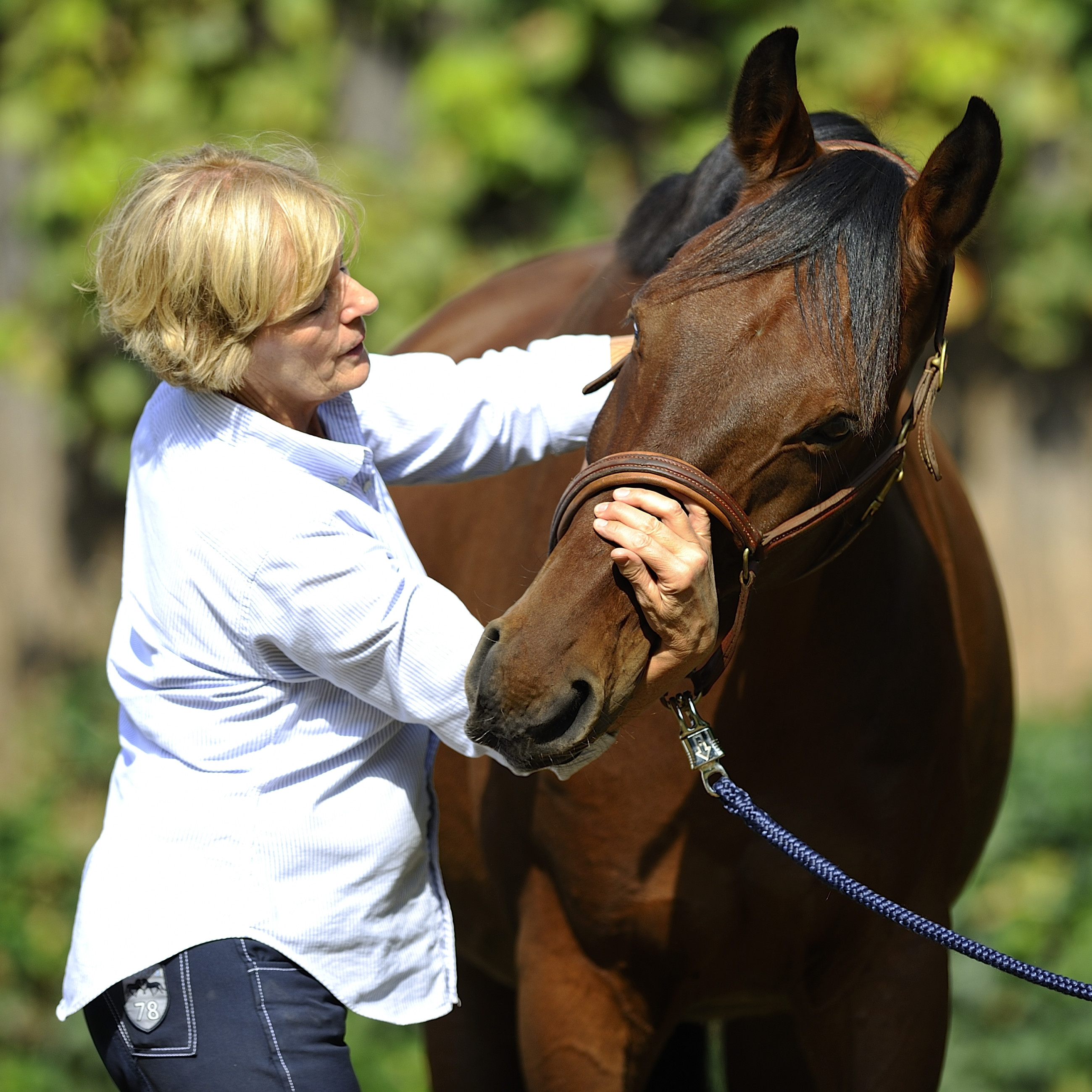 Manuelle Therapie für Pferde | Modul 4