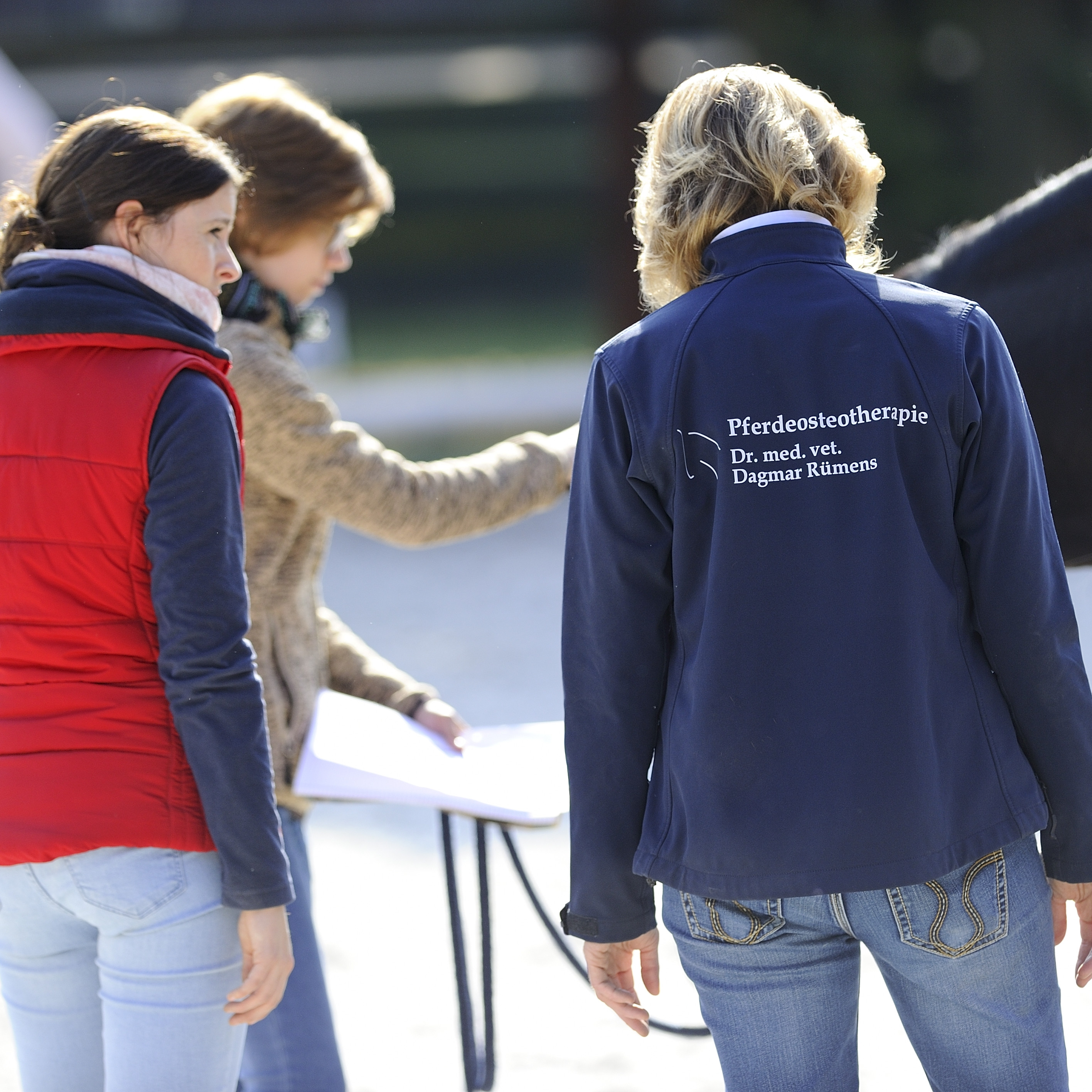 Viszerale Osteopathie bei Pferden