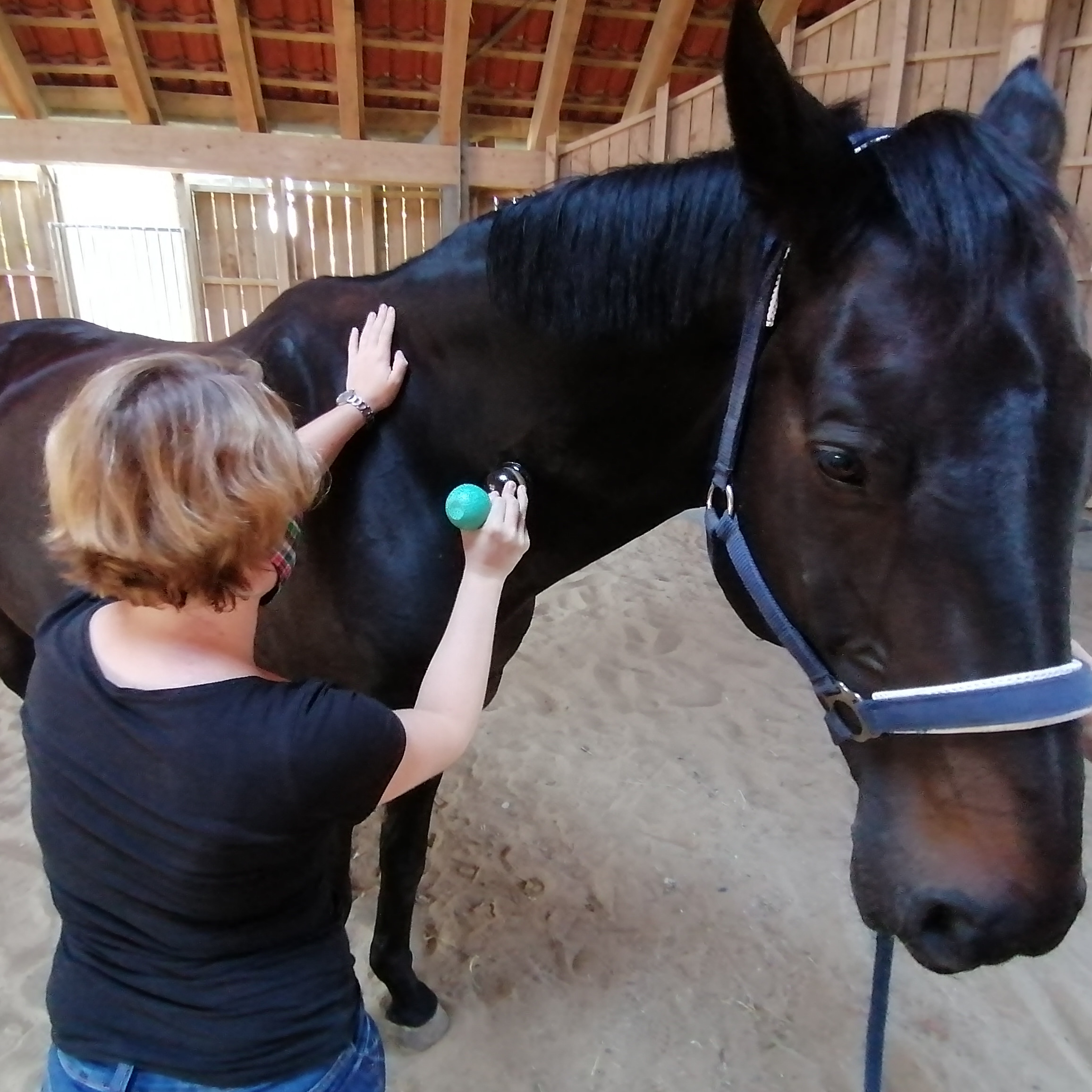 Schröpftherapie & propriozeptives Training