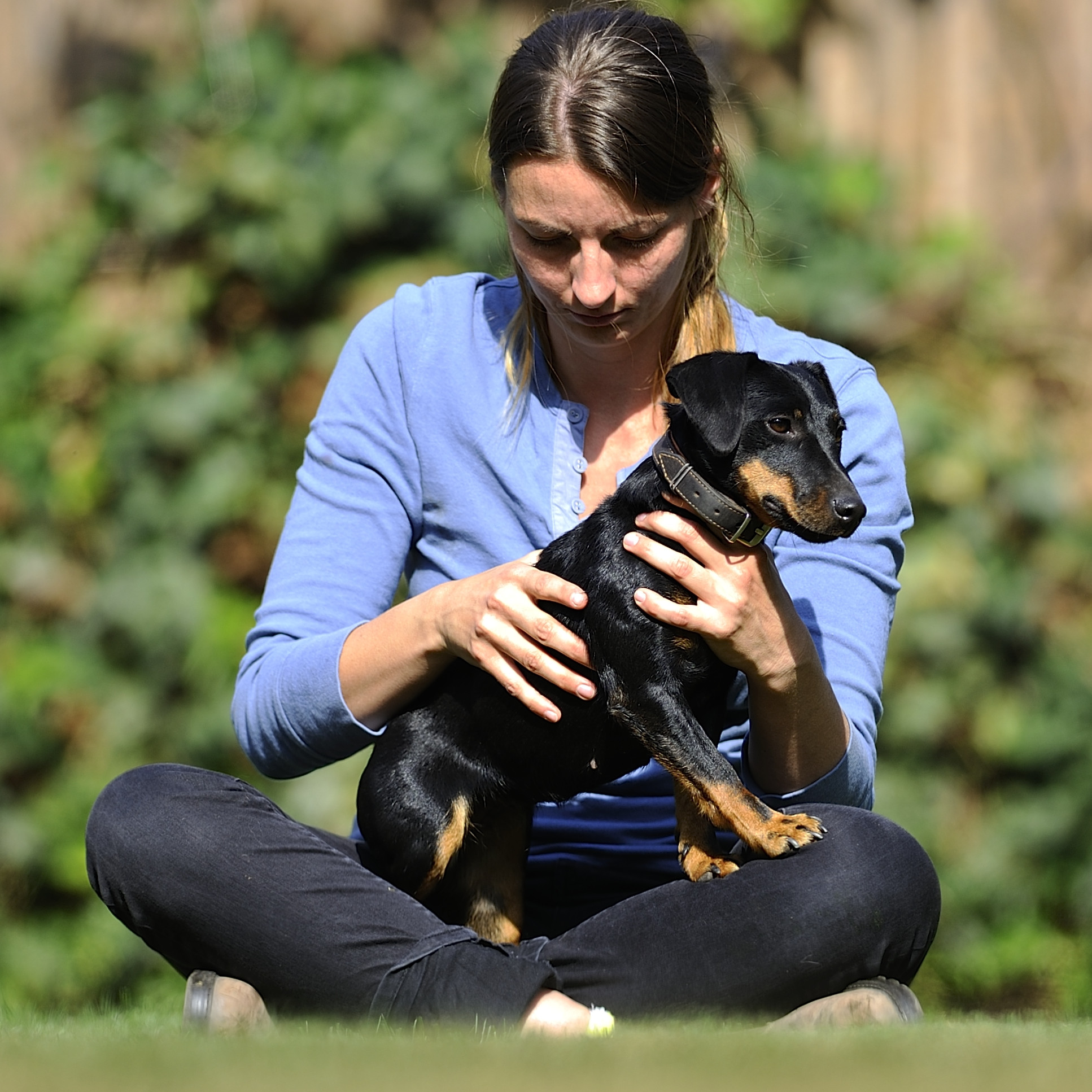 Manuelle Therapie für Hunde | Modul 3