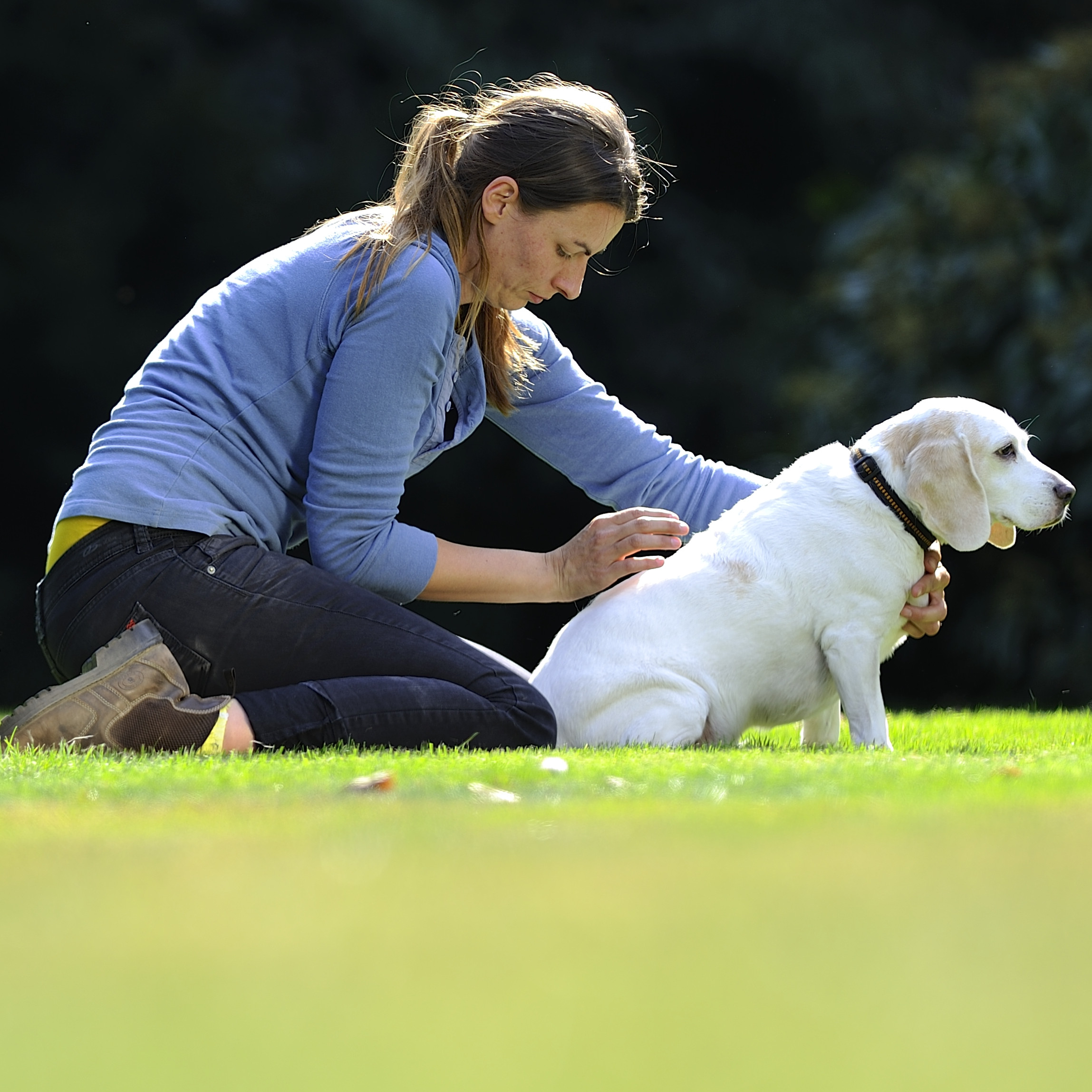 Hundephysiotherapie II inklusive Stresspunktmassage